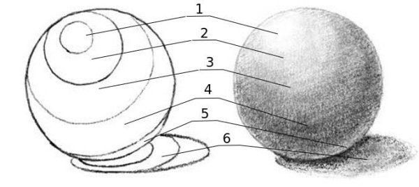 Круг Светотень