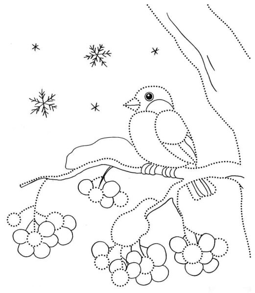 Синица раскраска