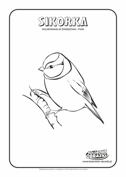 Раскраска Снегирь на ветке рябины