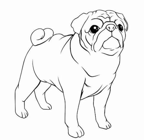 Рисунок собаки для срисовки