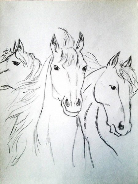 Тройка лошадей карандашом