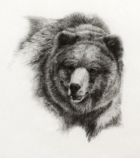 Морда медведя тату