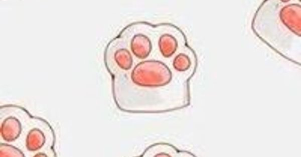 Лапки для срисовки