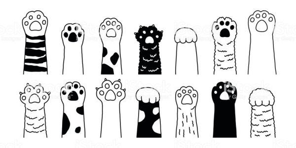 Кошачья лапка рисунок для срисовки