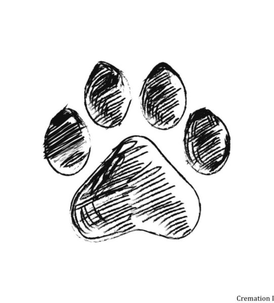 Лапки Отпечатки скетч