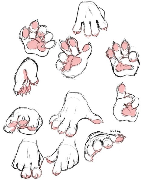 Драконьи лапы референс