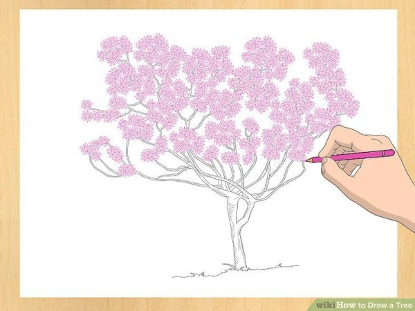 Кустарник карандашом