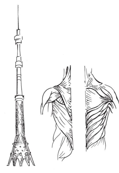 Телебашня Останкино раскраска