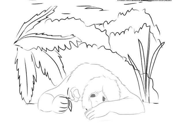 Аленький цветочек рисунок