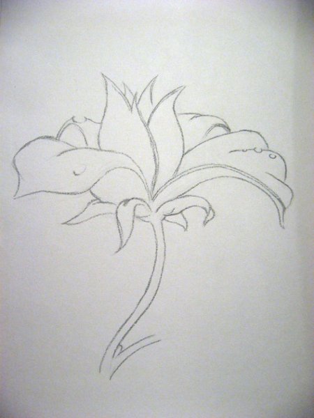 Иллюстрация к сказке Аленький цветочек легко