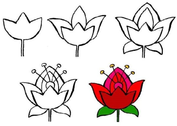 Цветик-семицветик раскраска шаблоны