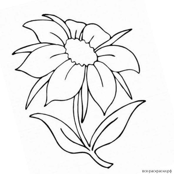 Раскраска чудовище из сказки красавица и чудовище