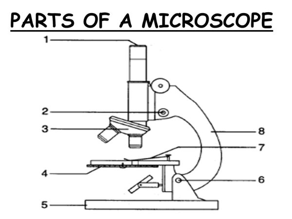 Микроскоп школьный схема
