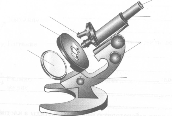 Строение микроскопа 5 класс биология