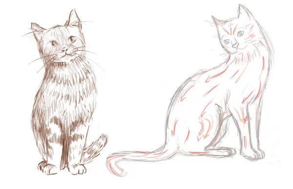 Кошка рисунок карандашом