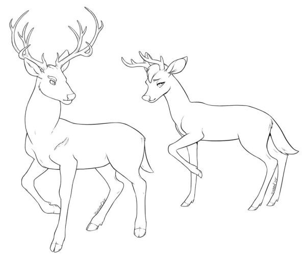 Свен из мультика Холодное сердце раскраска