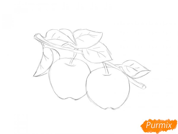 Яблоко на ветке рисунок карандашом