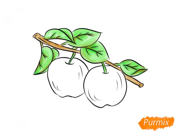Ветка с яблоками рисунок