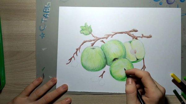 Ветка яблоня пастелью с яблоками