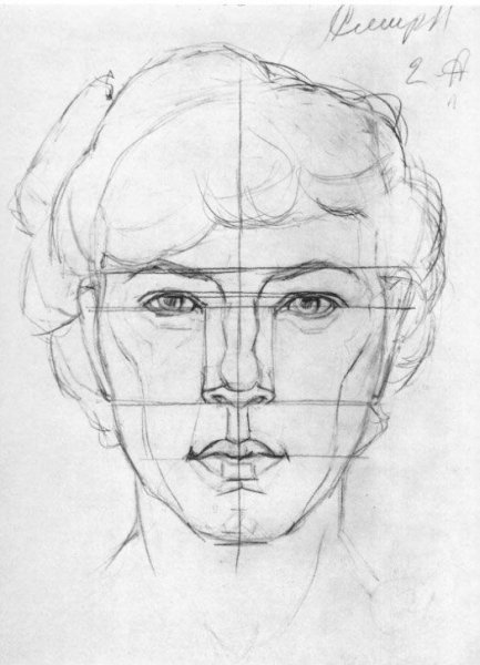 Академический портрет пропорции