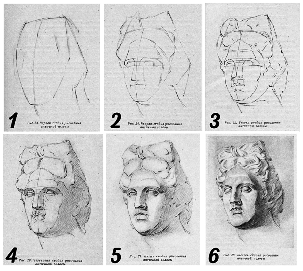 Пропорции гипсовой головы Аполлона