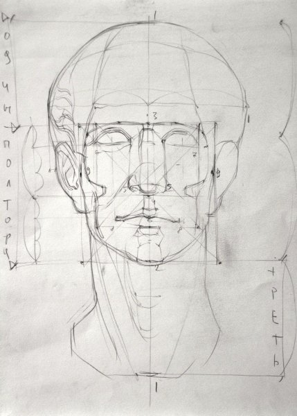 Академический портрет построение