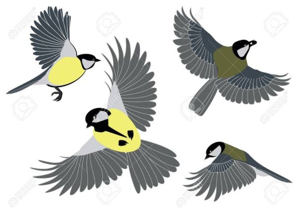 Синица в полете