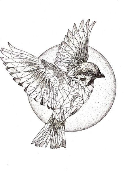 Птичка Графика