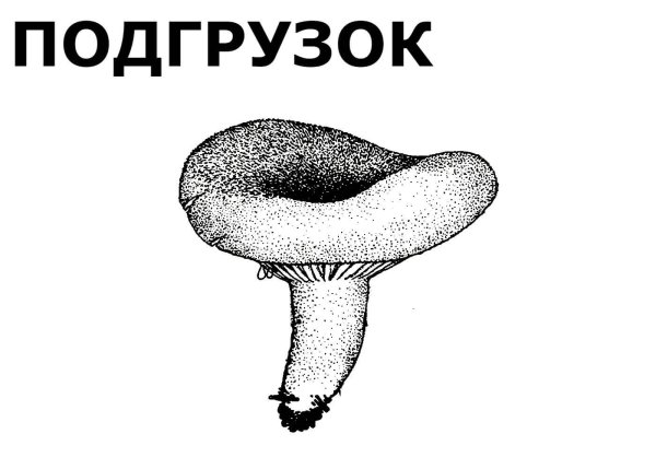 Съедобные и несъедобные грибы раскраска для детей