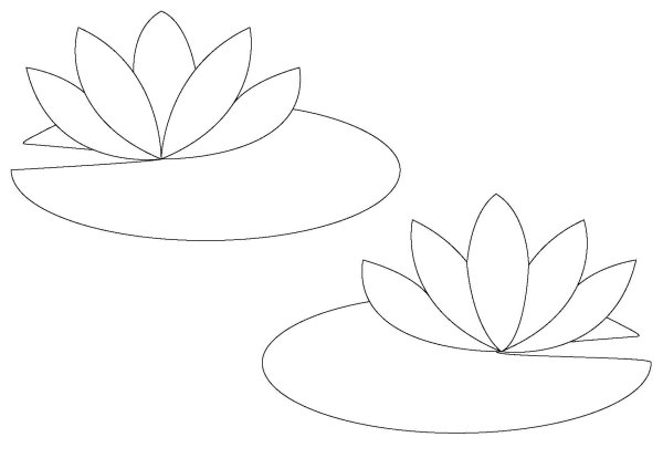 Кувшинка чб