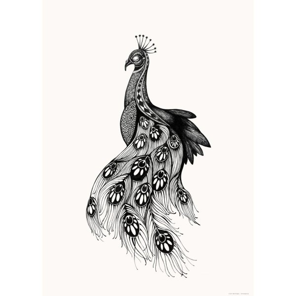 Павлин раскраска для детей