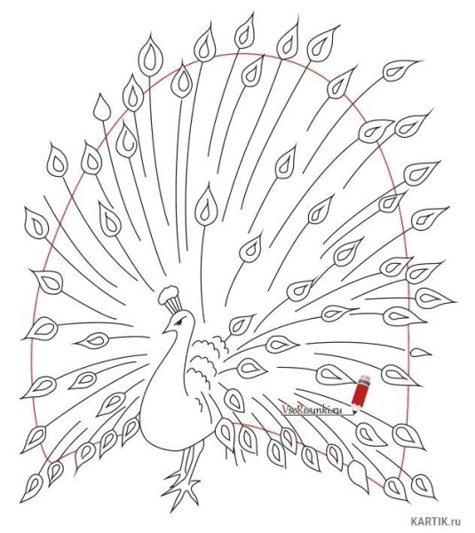 Жар птица раскраска для детей