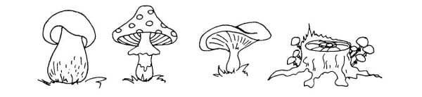 Съедобные и несъедобные грибы раскраска