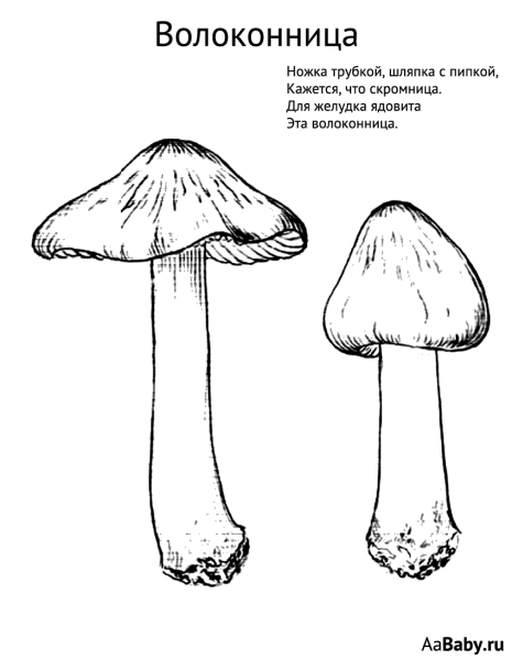Грибы карандашом