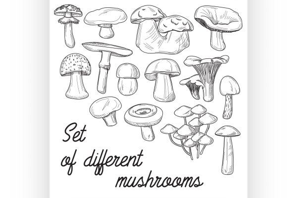 Грибы съедобные несъедобные разукрашка