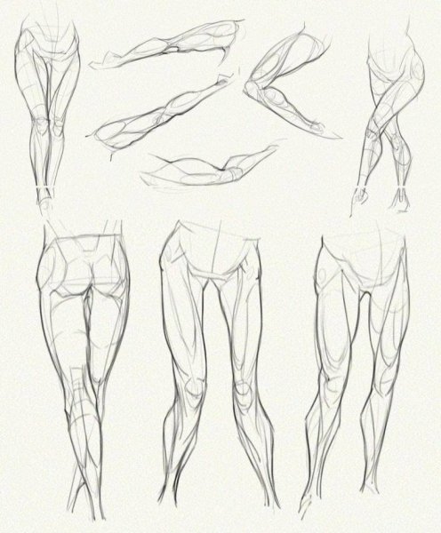 Аниме анатомия референс ноги
