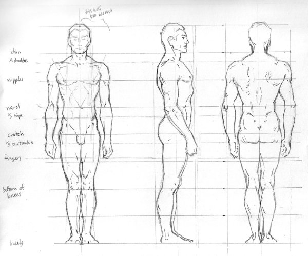 Идеальное тело рисунок красками