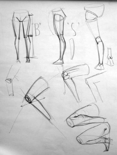 Анатомия человека для рисования аниме ноги