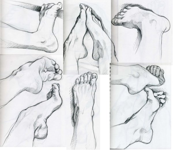 Зарисовки частей тела