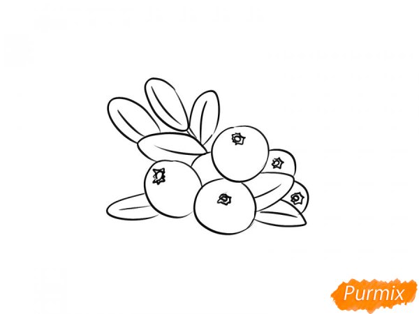 Клюква раскраска для детей