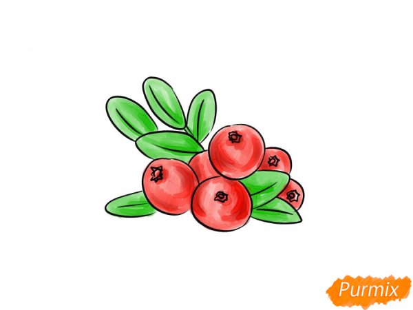 Клюква карандашом