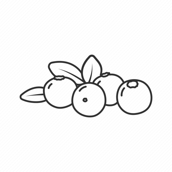 Клюква раскраска для детей