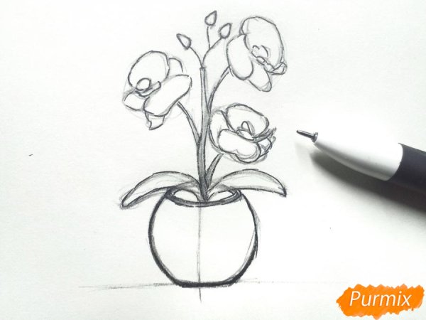 Нарисовать орхидею поэтапно