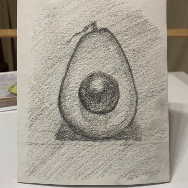 Авокадо для срисовки