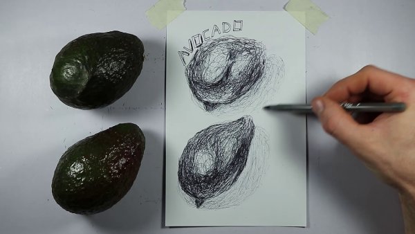Набросок авокадо