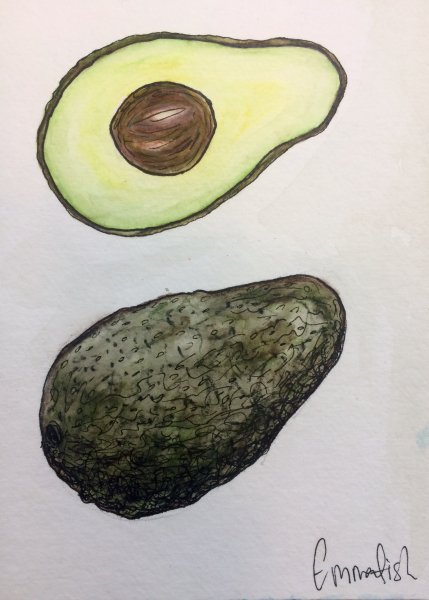Скетчинг авокадо