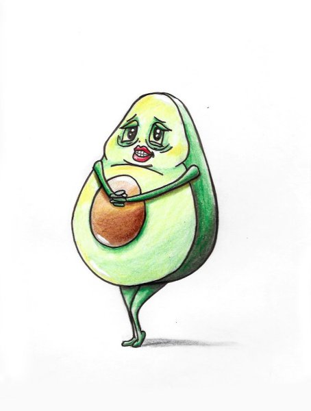 Авокадо рисунок