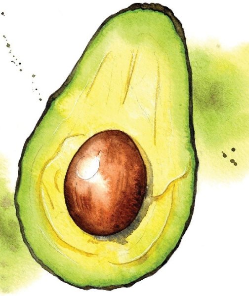 Срисовать авокадо