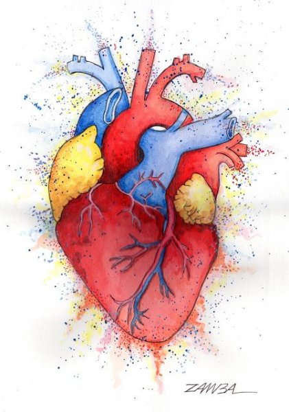Сердце карандашом