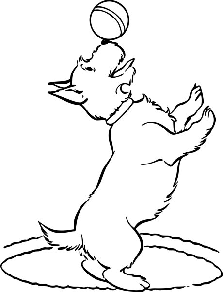 Раскраска собачка с мячиком